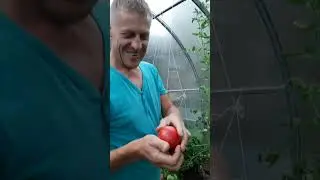 наши достижения 💥💥💥 