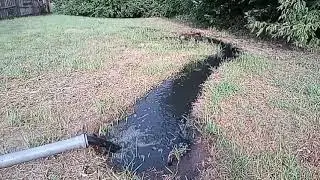 Откачка+чистка выгребной ямы 4ч.