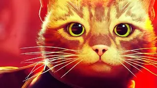 BİR KEDİNİN HAYATINA HOŞ GELDİNİZ! - STRAY TÜRKÇE BÖLÜM 1