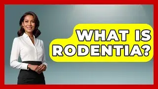 What Is Rodentia? - The Wild Life Explorer