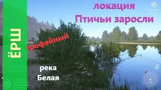 Русская рыбалка 4 - река Белая - Ёрш трофейный за кустиком