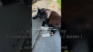 что получилось?!🤯