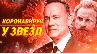 Звёзды и 