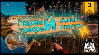 ПУТЬ ДОНОЧНИКА | ПЕРВЫЙ ТРОФЕЙ | РУССКАЯ РЫБАЛКА 4 #3