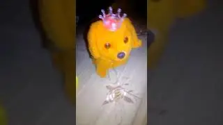 жесть собака зомби