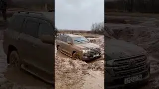 крузак встрял
