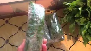 Щавель на зиму.
