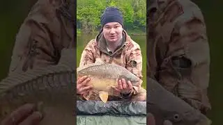 Что может быть приятнее утром на рыбалке. #shorts #carpfishing #рыбалка