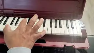 EN TODA LA CHAPA TUTORIAL  EL PALOMO Y EL GORRION