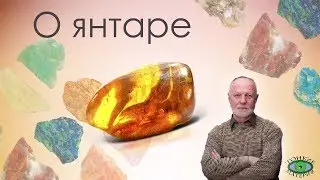 О янтаре. Александр Гук.