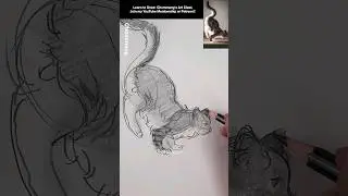 How to draw a cat 🐈