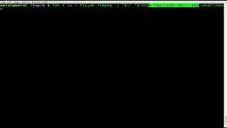 Bulk Convert to Webm and MP3 - FFMPEG - BASH - Linux