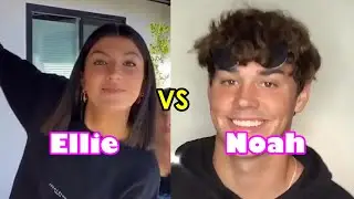 Ellie Zeiler vs Noah Beck ✨🌠 Tik Tok Dance Compilation