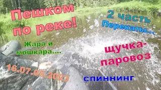 Walk along the river. Fishing for spinning.07/16/2023. From the bridge to Omut. Pike locomotive!