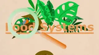 The WUR Food Systems Approach explained