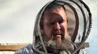 Велесів мед. Повернення пасіки | Private Milk | Михайло Травецький | Велесова ферма