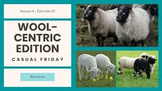 Hair Sheep and other Rare Breeds // Casual Friday S6E20