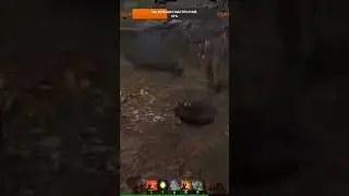 Мелкий симбиот отдает приказы😎😎😎 