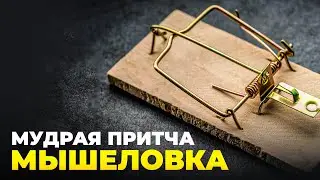 Мудрая притча 