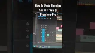How to mute timeline sound track in premiere pro