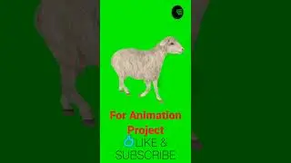 Walking sheep 🐑 #green #animation #chromakey #jerma