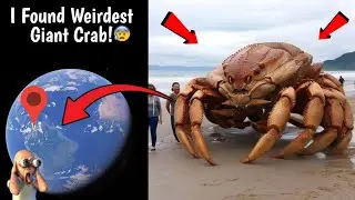 😰 I Found Weirdest Giant Crab in Real Life On Google Earth and Google Maps! || Part 8 