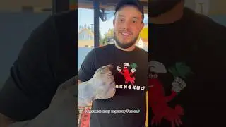 Смотрим бесконечный сериал под названием «РАКИОКИ»🦞👌🏻😂 
