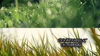 Boyisin bildim. Достонбек Гарибий