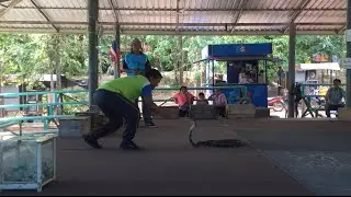 King Cobra Village in Khon Kaen