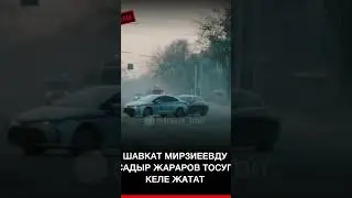 Картеж