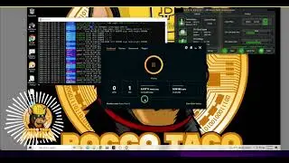 CPU Crypto Mining with Xmrig MSR Mod Error Test | Profitability & Hashrate Impact Revealed!