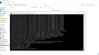 01 Flutter basic : Create and run the application