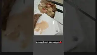 Самарканд пастдаргом туман Жума Шахри Ёшлар боги ёнида ДИЛНУРА КАФЕ сизни кутмокда