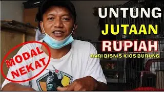ORANG SUKSES : Untung Jutaan Rupiah Hanya dari Bisnis Kios Burung | ANDRI KIOS B 20