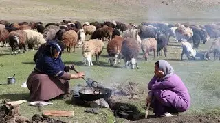 Traditional village life |Real village life| Village life of Afghanistan|Organic life