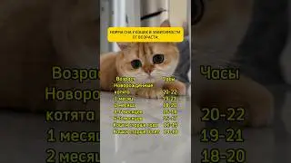 Сколько должен спать кот?