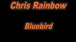 Chris Rainbow Bluebird