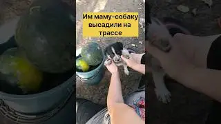 Малышам из приграничья нужен дом🏡