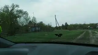 Деревня Вторая Быстровка /Саратовская область/Петровский район /Родные края/#ЛилияХабибулина