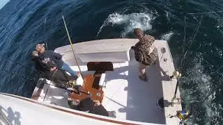 Bluefin Tuna Fishing Aboard 