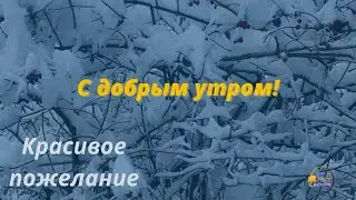 С добрым утром! Красивое пожелание доброго утра