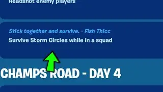Survive Storm Circles while in a squad