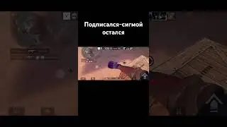 Лучший хайлайт в 2024 