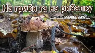 Саме час їхати в дощ на гриби і рибалку. Частина перша.
