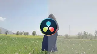 Import custom LUTs in Davinci Resolve