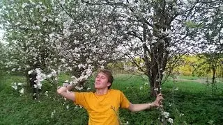 Премьера клипа! Эх, по селам (исп Игорь Шипков).