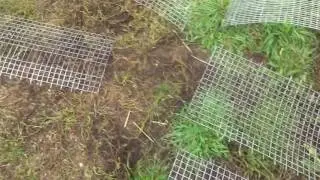 Коротко о размерах клетки для кроликов из сетки))))