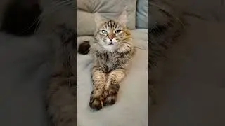 Меню на Новый год!!! 