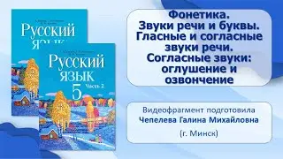 Тема 20. Фонетика. Звуки речи и буквы. Гласные и согласные звуки речи. Согласные звуки