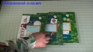 Рабочие тетради. Прописи по программе Виноградовой 1 класс